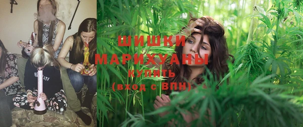 PSILOCYBIN Абдулино