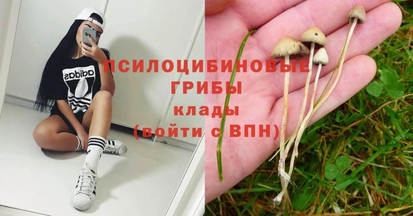 PSILOCYBIN Абдулино