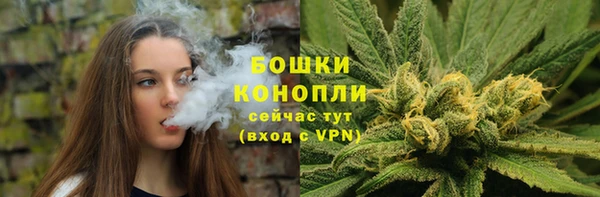 PSILOCYBIN Абдулино