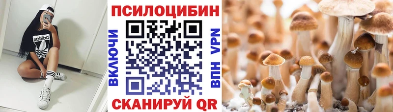 OMG tor  Североморск  Галлюциногенные грибы Psilocybine cubensis  как найти наркотики 